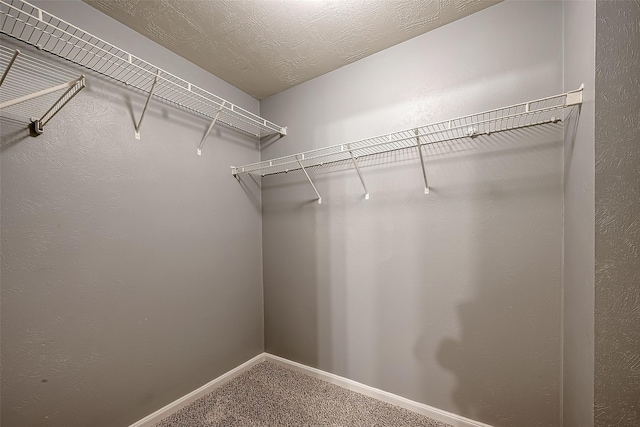 spacious closet with carpet