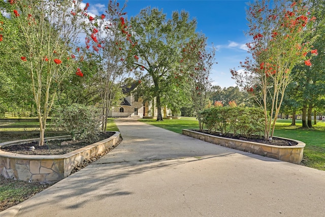 view of property's community featuring a yard