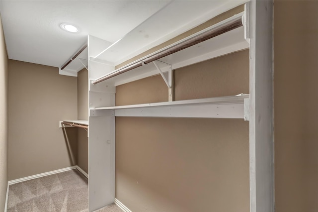 walk in closet with light colored carpet