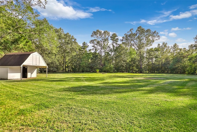 view of yard with an outbuilding