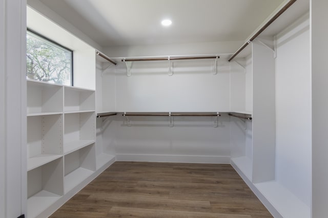 walk in closet with dark wood-type flooring