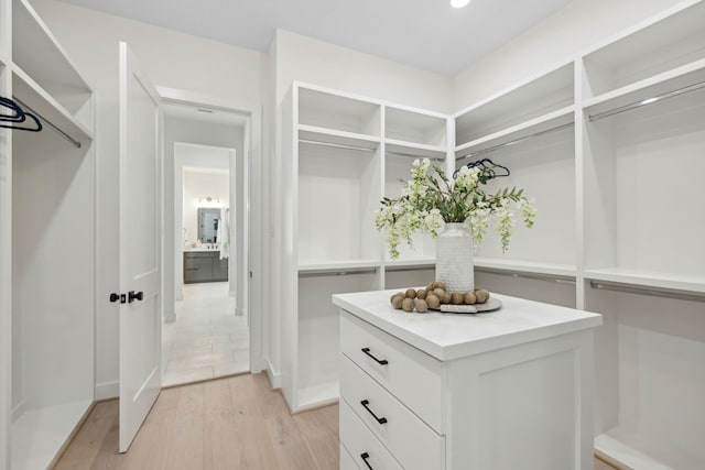 spacious closet featuring light hardwood / wood-style floors