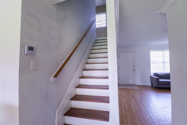 stairway with wood-type flooring