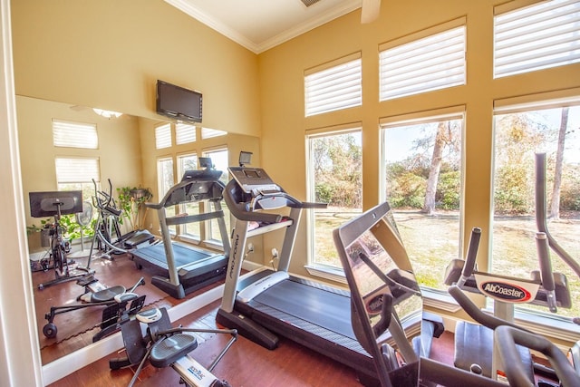 workout room featuring hardwood / wood-style flooring, ornamental molding, a healthy amount of sunlight, and a high ceiling