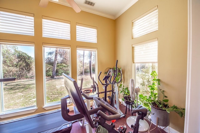 workout area with crown molding