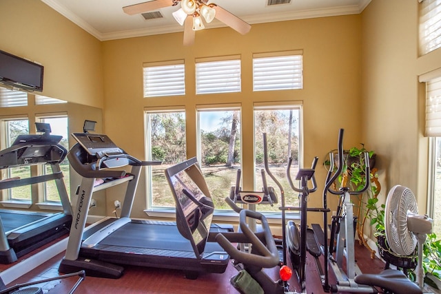 exercise area with hardwood / wood-style flooring, crown molding, and ceiling fan