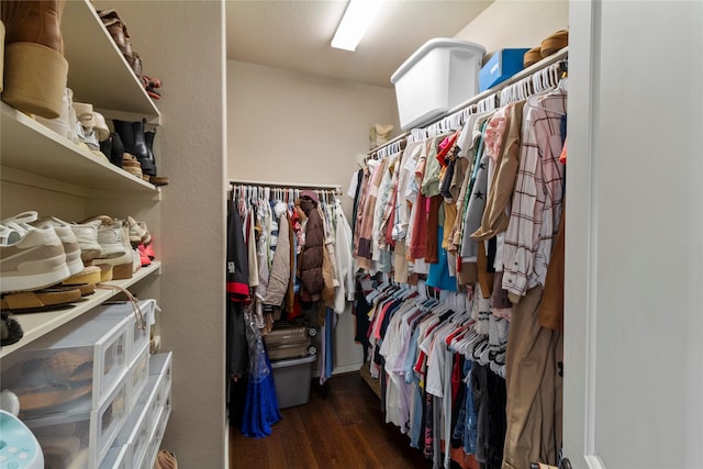 walk in closet with dark hardwood / wood-style floors