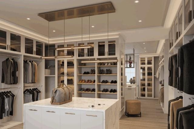 walk in closet with a raised ceiling and light hardwood / wood-style flooring