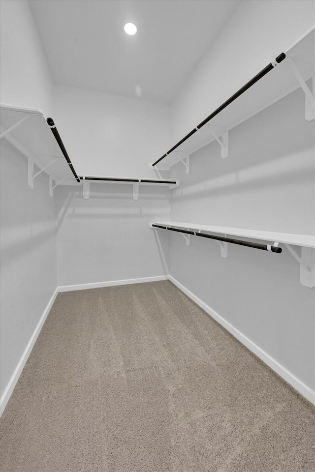 walk in closet with carpet