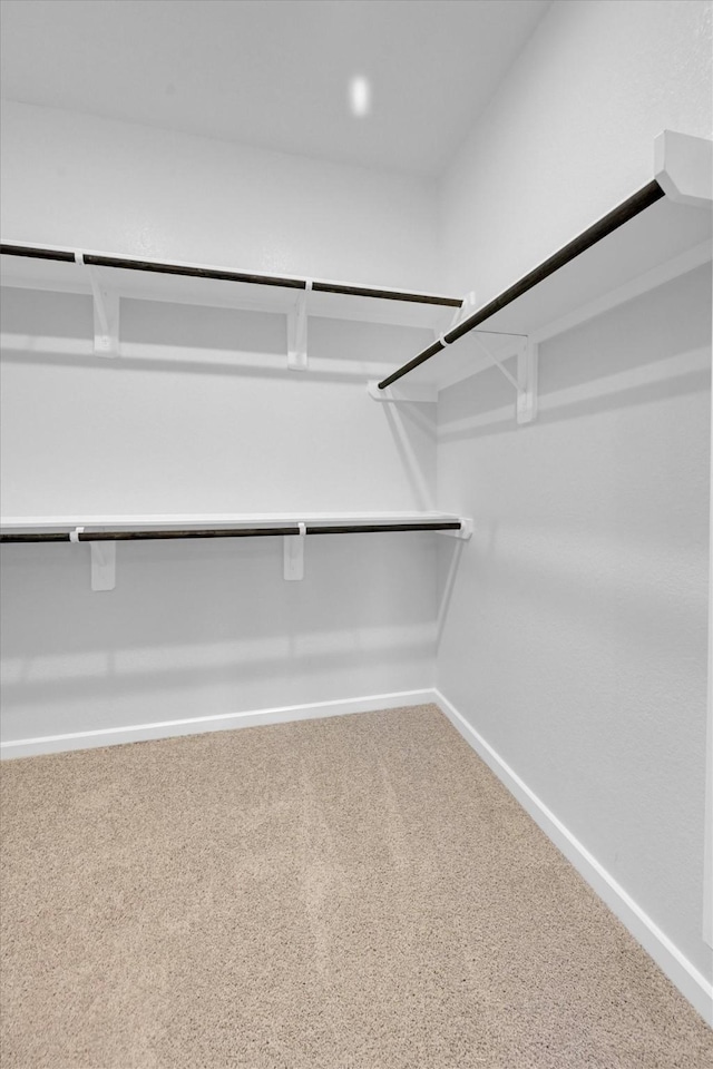 walk in closet with carpet