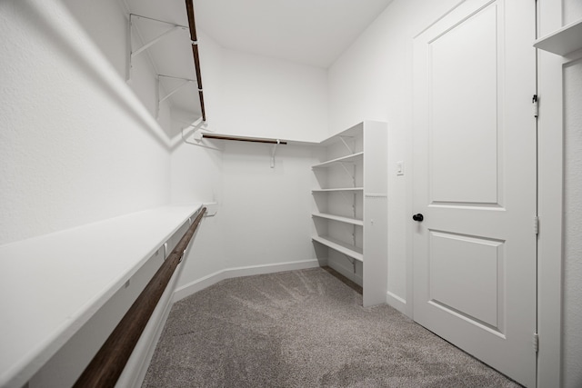 walk in closet with carpet floors