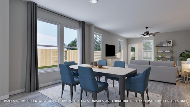 dining room with ceiling fan and light hardwood / wood-style floors