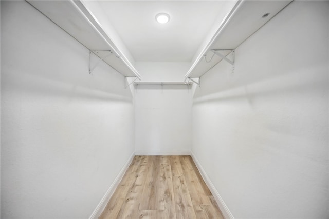 walk in closet with light wood-type flooring