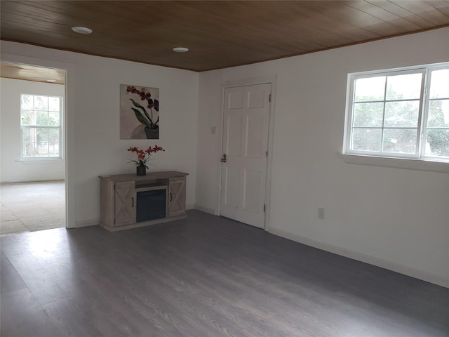 interior space featuring hardwood / wood-style flooring and wood ceiling