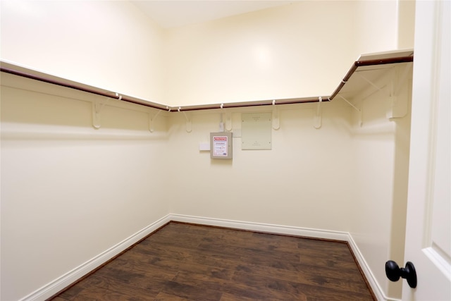 spacious closet featuring dark wood-type flooring