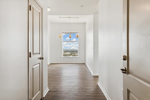 corridor featuring dark hardwood / wood-style flooring