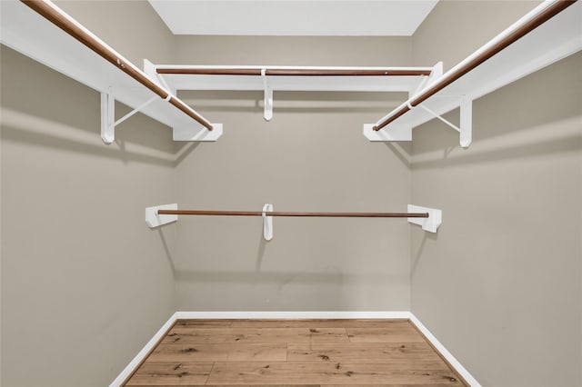 walk in closet with hardwood / wood-style flooring