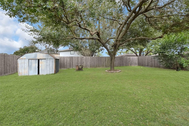 view of yard featuring a shed