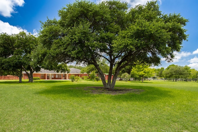 803 S Converse St, Flatonia, TX 78941 - view of yard