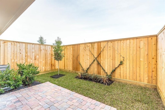 view of yard with a patio area