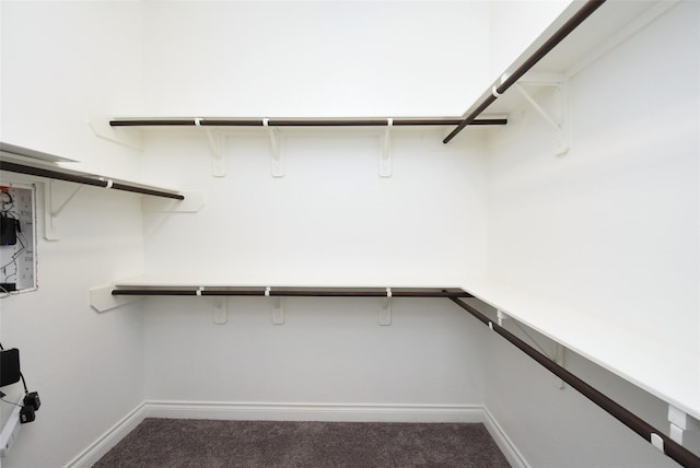 spacious closet featuring dark colored carpet