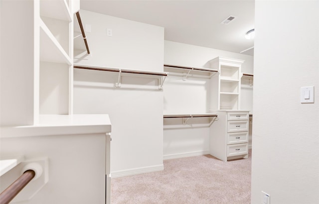 spacious closet with light colored carpet