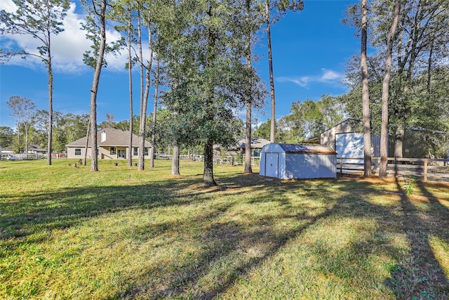 view of yard featuring a storage unit