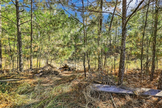 view of local wilderness