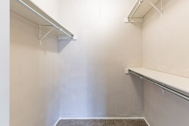 spacious closet featuring carpet flooring