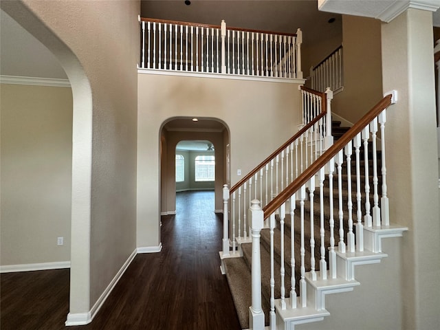 foyer with a towering ceiling and dark hardwood / wood-style flooring