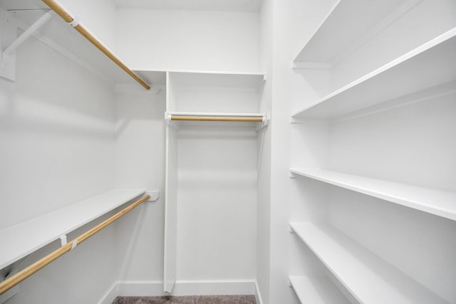 walk in closet with carpet flooring