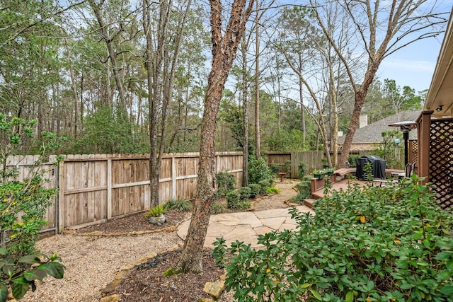 view of yard featuring a patio