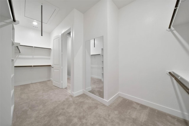 spacious closet with light carpet