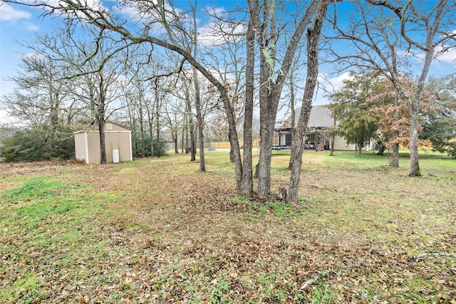 view of yard featuring a storage unit