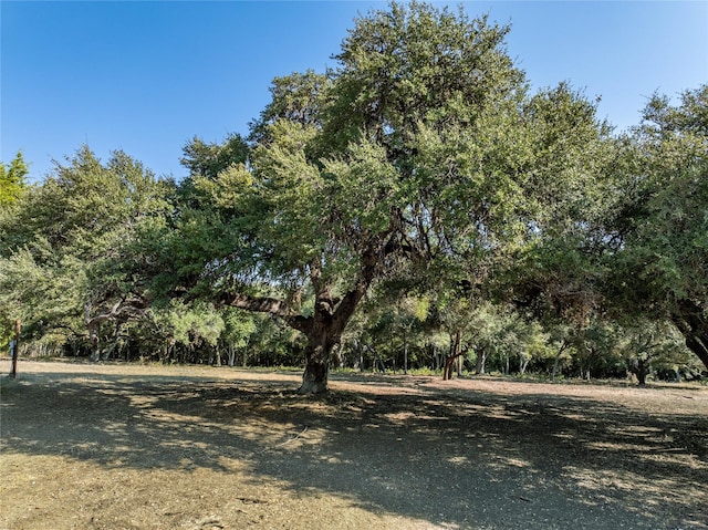 505 N Live Oak St, Round Top, TX 78954
