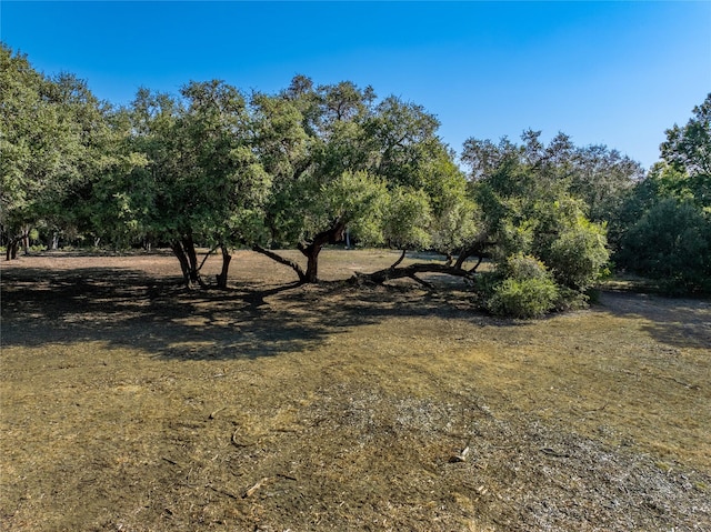 505 N Live Oak St, Round Top, TX 78954
