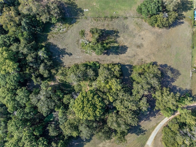 505 N Live Oak St, Round Top, TX 78954
