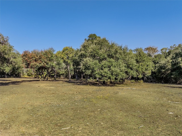 505 N Live Oak St, Round Top, TX 78954