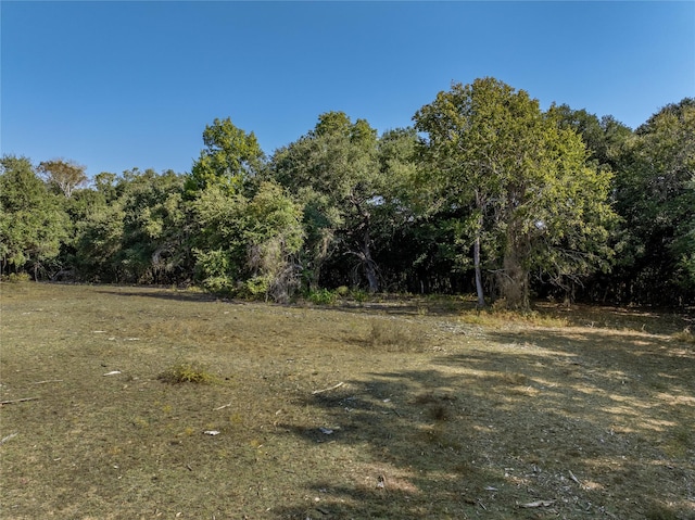 505 N Live Oak St, Round Top, TX 78954
