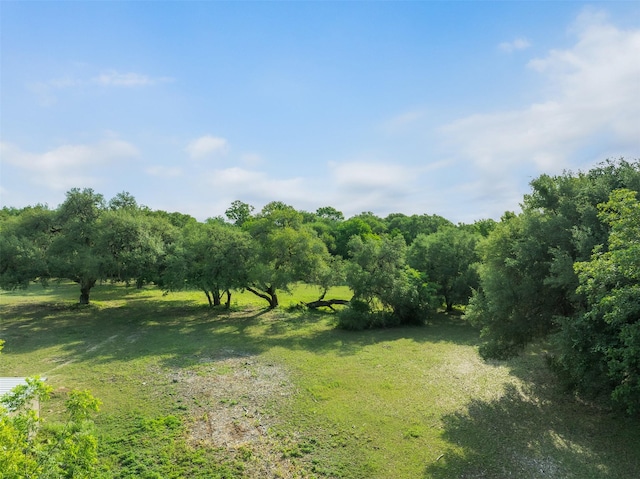 505 N Live Oak St, Round Top, TX 78954