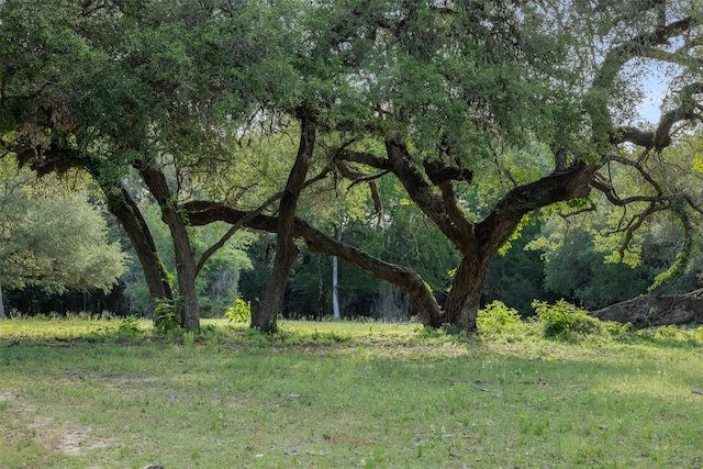 505 N Live Oak St, Round Top, TX 78954