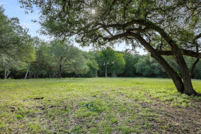 505 N Live Oak St, Round Top, TX 78954