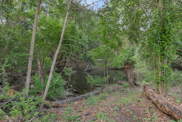 505 N Live Oak St, Round Top, TX 78954