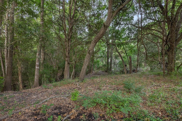 505 N Live Oak St, Round Top, TX 78954