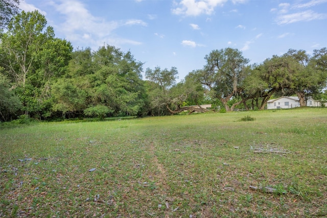 505 N Live Oak St, Round Top, TX 78954