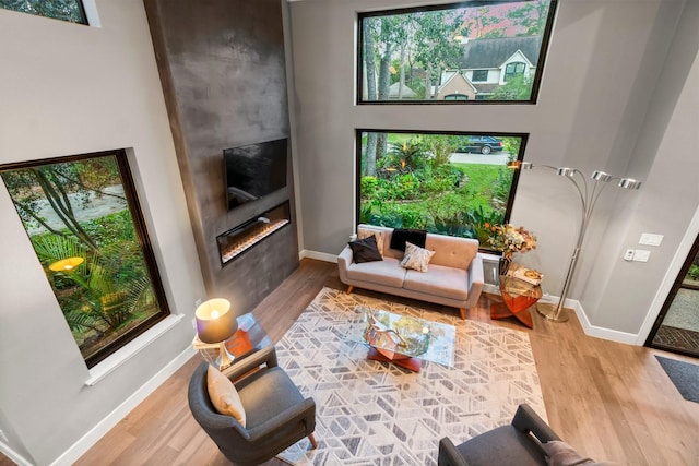 living room featuring light hardwood / wood-style floors