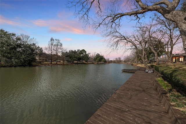 dock area featuring a water view