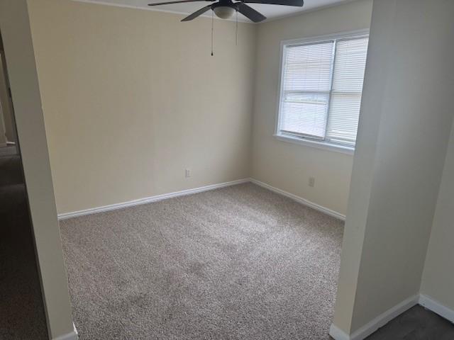 spare room featuring ceiling fan and carpet