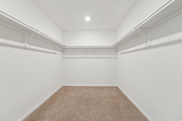 walk in closet featuring carpet