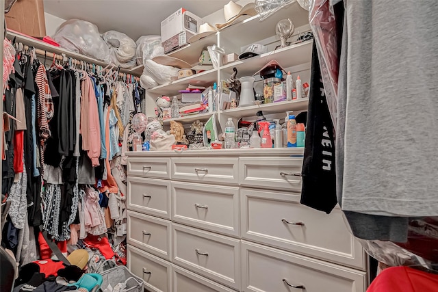 view of walk in closet